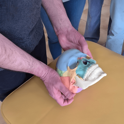 Le lien mécanique ostéopathique (LMO) – Le Crâne - Prat - dec2025