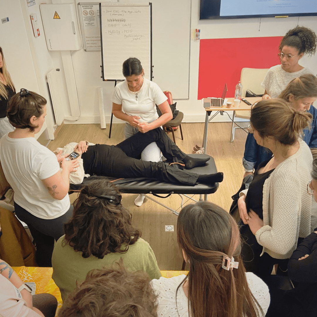 Retour sur la formation Accompagnement ostéopathique de la fertilité et du parcours PMA à Paris - mars 2026